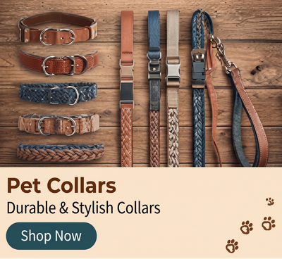 Pet Safety Collar