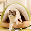 00e1b993-98c8-4de0-a37e-5c005b88d584-Max-Origin