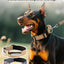 1341ae28a684475ab9950a8696b36519-Max-Origin