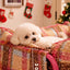 1dda1169-87b7-42be-bdbd-1062dbe2a1a7-Max