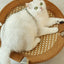 2d06c64dacd94280abb1feb6c4401acc-Max-Origin