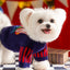 5819ced6-ea7a-4f88-8d31-0c5ecd913ed1-Max-Origin
