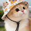 6aed3b1d-2df9-49e8-80f3-9fb5cc1e0fcc-Max