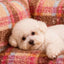 74c41678-1255-41ce-ad48-6171ccb49757-Max