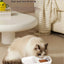930e37b2-cd63-43a7-896b-f896c4e13999-Max-Origin