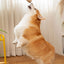 987b1433-6c70-41be-80d2-6d7f10dbfe2e-Max