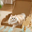 bec6935d-c3d2-4dd9-9008-21a6a7836beb-Max