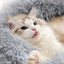 bff15103-6d15-4b9b-9c17-23daa68bb325-Max-Origin