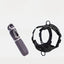 cc2d2c87-a316-4dd0-ac58-e7253514646c-Max