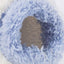 da8cdc9f-f3da-4015-9b40-ed99de24f7f2-Max-Origin