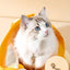 e9a0368c2a4d43bd890a8c8802fcaa80-Max-Origin