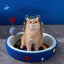 f927b662-99bd-4658-ae3b-2750c01bd9af-Max